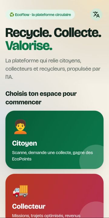Page Accueil du site web EcoFlow